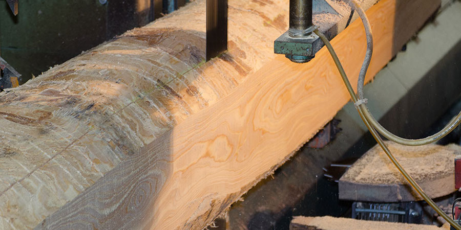 Sawing with a log bandsaw.